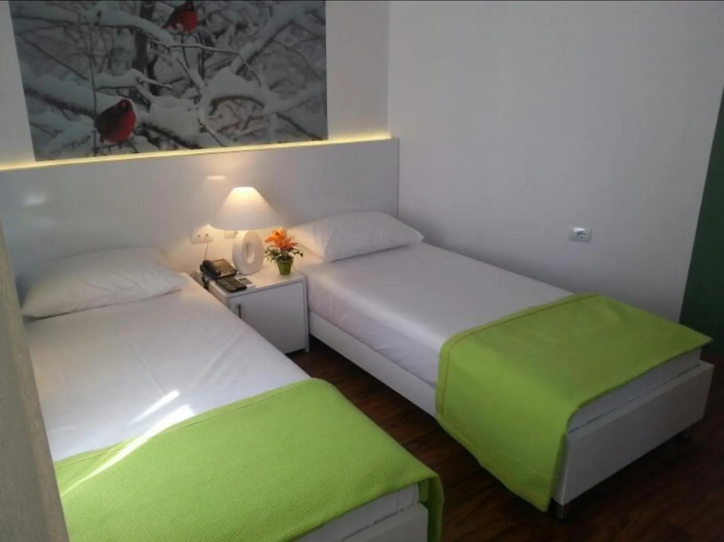 Hotel Boutique Patricia Tirana 0*,  Albania